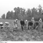 Polen, Bäuerinnen und Bauern bei Feldarbeit