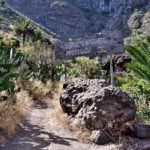 Teneriffa 2016 - Flora and fauna along the hiking path