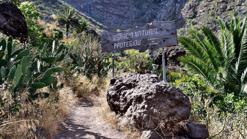 Teneriffa 2016 - Flora and fauna along the hiking path