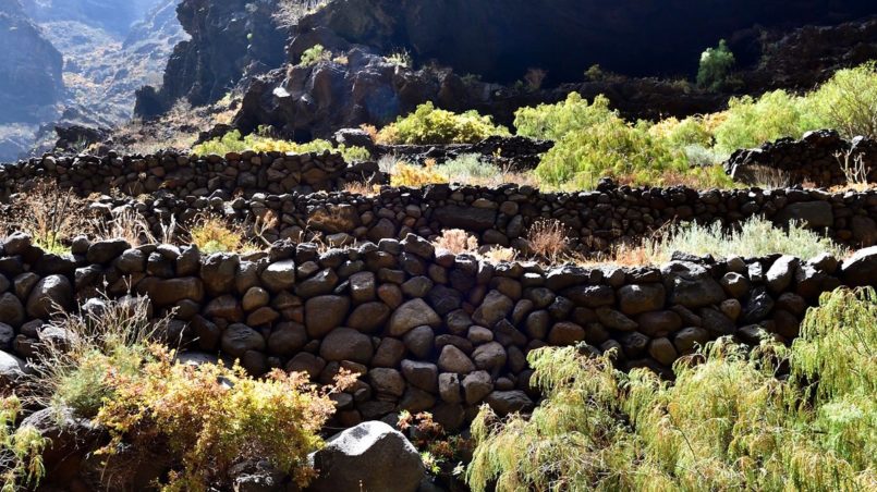 Teneriffa 2016 - Fence of stones