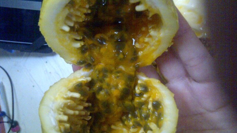 Maracuja - Passion fruit