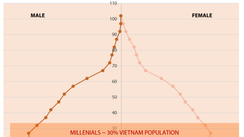 population pyramid