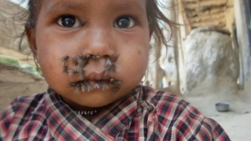 Flies taking the food from around a baby’s mouth .