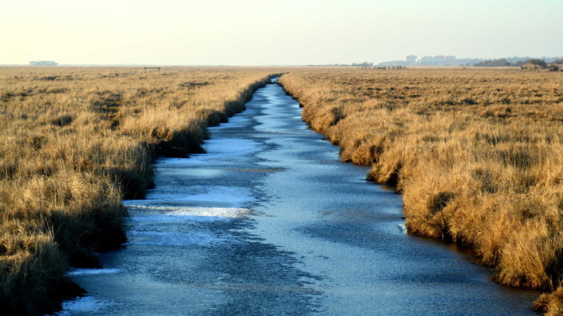 Schatten des Zweifels