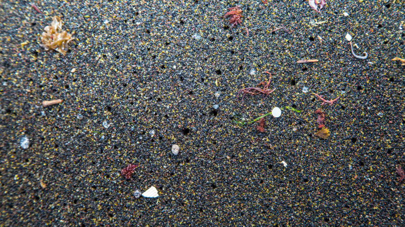 Microplastics Azores