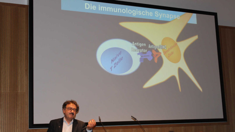 Prof. Stockinger spricht über die immunologische Synapse