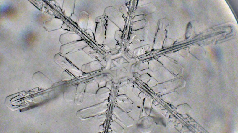 snowflake 20090115_0730
