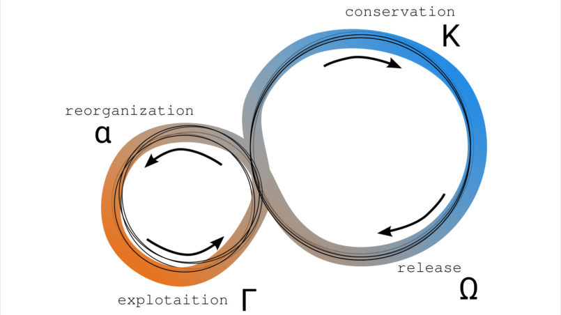 Adaptive-cycle