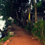 roads along the backwaters