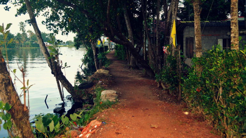 Straßen an den Backwaters