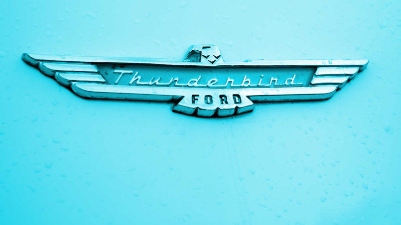 Thunderbird_Logo_(2452178008)